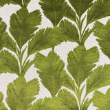 Eade’s MEDORA PALM PALM