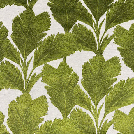 Eade’s MEDORA PALM PALM