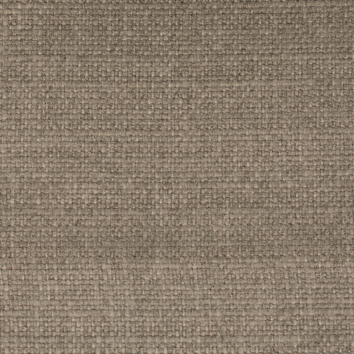 STOUT MEME-3 MEMENTO 3 BRAN Fabric - Eades Wallpaper & Fabric