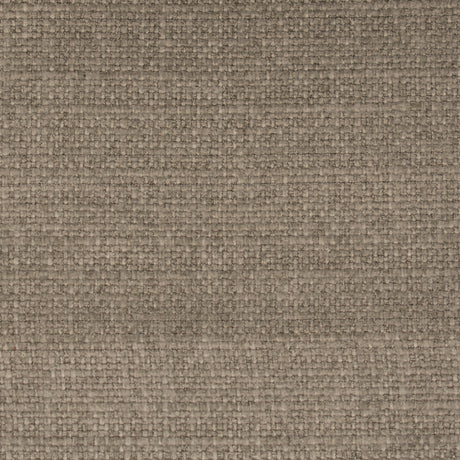 STOUT MEME-3 MEMENTO 3 BRAN Fabric - Eades Wallpaper & Fabric