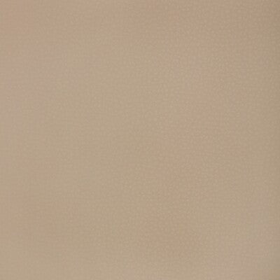 KRAVET DESIGN KRAVET DESIGN MEND.1101.0 in MEND-1101 Fabric 