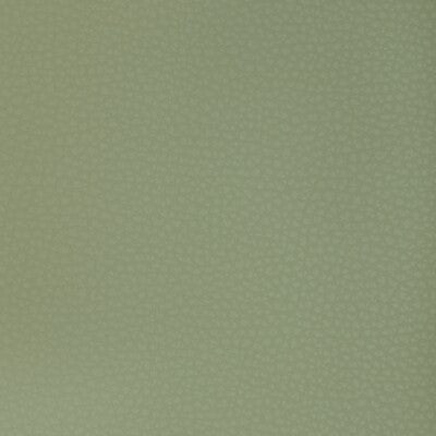 KRAVET DESIGN KRAVET DESIGN MEND.123.0 in MEND-123 Fabric - 