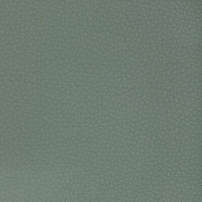 KRAVET DESIGN KRAVET DESIGN MEND.135.0 in MEND-135 Fabric - 