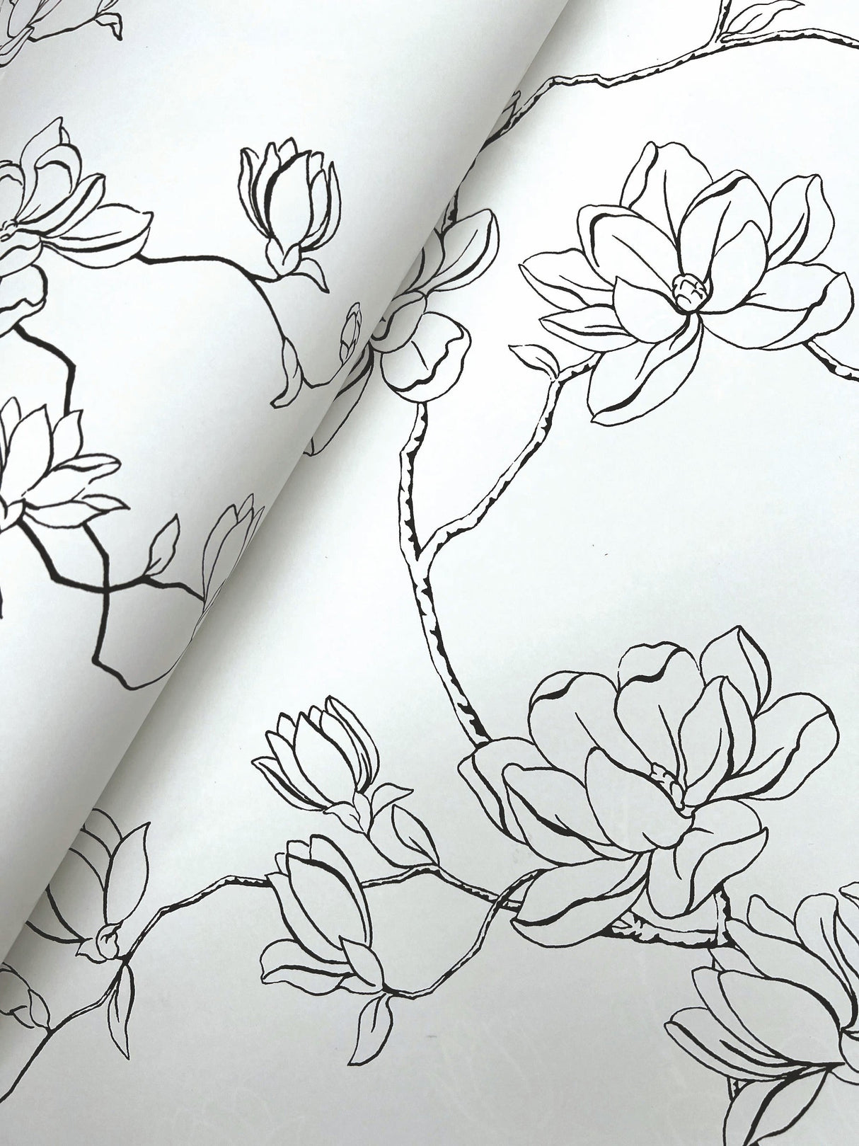 York MF4732 Magnolia Branches Wallpaper - Eade's Wallpaper