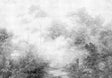 Magnolia Home MF4808M Woodland Black & White Wall Mural