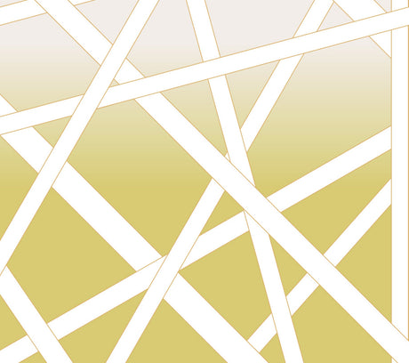 Missoni MI10585M Nastri Wall Mural - Eade's Wallpaper