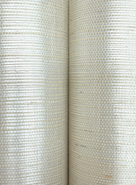 Missoni MI4765 Rafia Wallpaper - Eade's Wallpaper