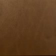 Eade’s MILES CHESTNUT CHESTNUT