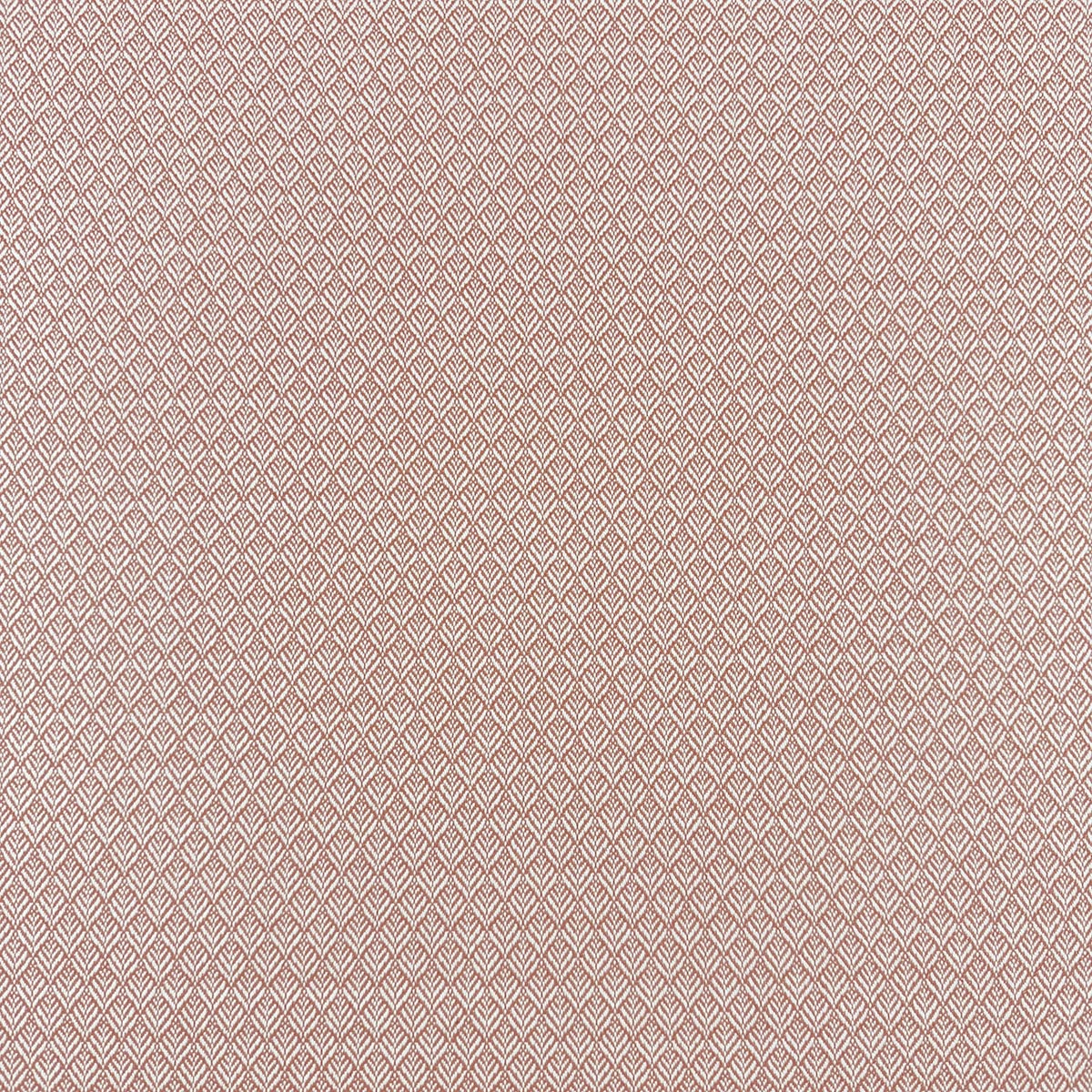 Eade’s MIMUS PUNCH PUNCH