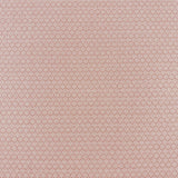 Eade’s MIMUS PUNCH PUNCH