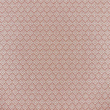 Eade’s MIMUS PUNCH PUNCH