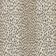 Crypton Home 36-J7151 MINX Fabric - Eade's Wallpaper & Fabric