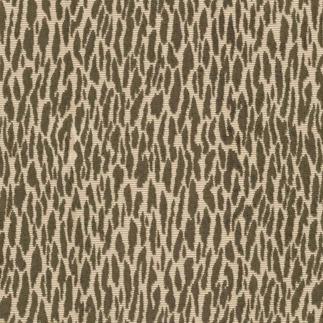 Eade's MIZZ-1-sample BROWN