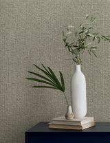Eade’s Brindled Shadow