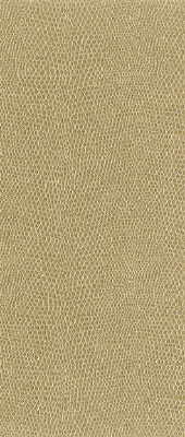 KRAVET DESIGN MOCCASIN.161.0 KRAVET DESIGN MOCCASIN-161 Fabric - Eade's Wallpaper