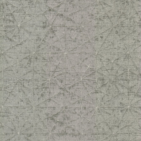 Eade's MODI-1-sample SILVER