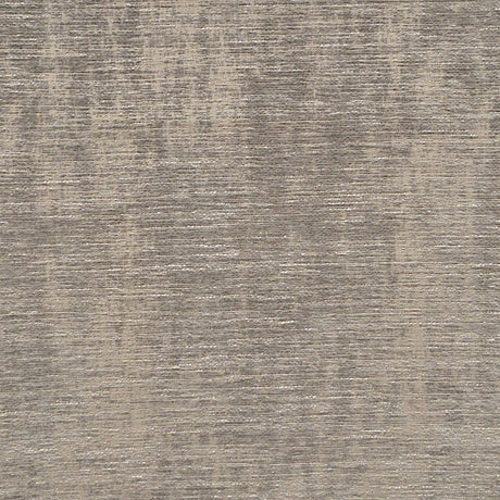 Eade’s MONSEUR GRAY GRAY