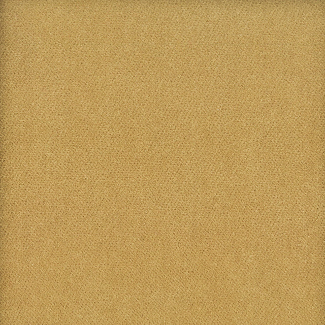 STOUT MOOR-1 MOORE 1 CARAMEL Fabric - Eades Wallpaper & Fabric