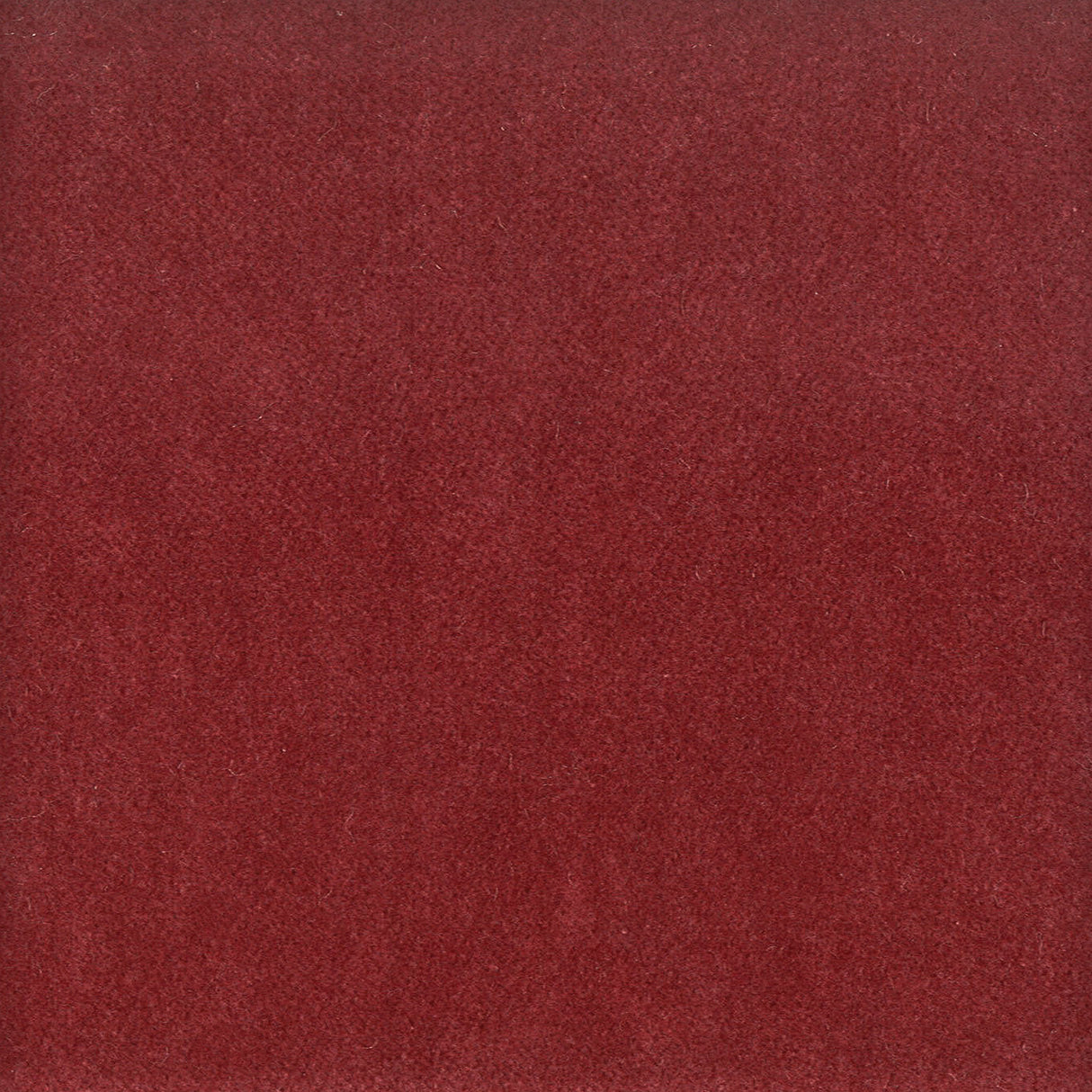 STOUT MOOR-11 MOORE 11 BEET Fabric - Eades Wallpaper & Fabric