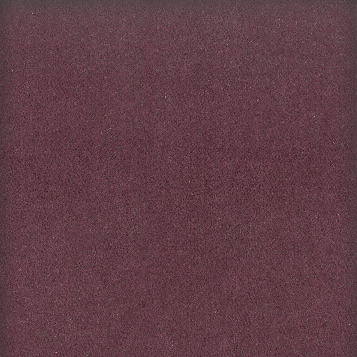 STOUT MOOR-15 MOORE 15 PLUM Fabric - Eades Wallpaper & Fabric