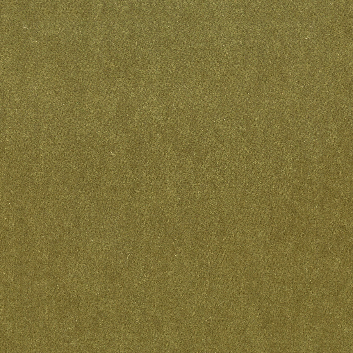 STOUT MOOR-29 MOORE 29 CHIVE Fabric - Eades Wallpaper & Fabric