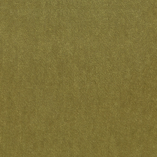 STOUT MOOR-29 MOORE 29 CHIVE Fabric - Eades Wallpaper & Fabric