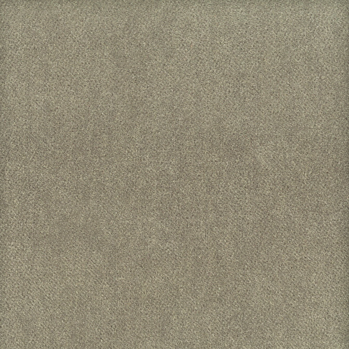 STOUT MOOR-34 MOORE 34 NICKEL Fabric - Eades Wallpaper & Fabric