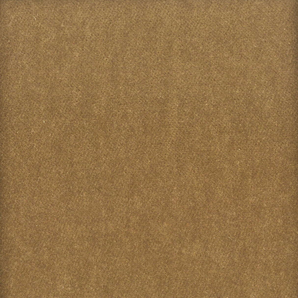 STOUT MOOR-37 MOORE 37 SANDSTONE Fabric - Eades Wallpaper & Fabric
