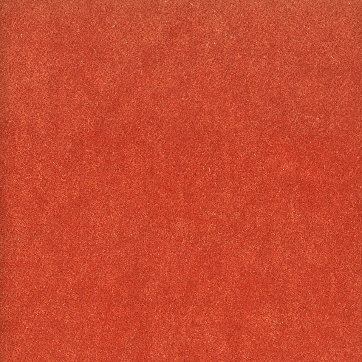 STOUT MOOR-41 MOORE 41 TERRACOTTA Fabric - Eades Wallpaper & Fabric