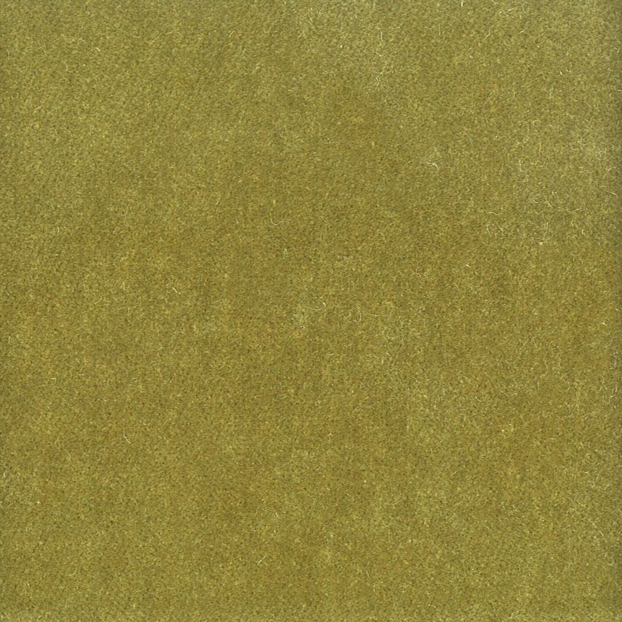 STOUT MOOR-42 MOORE 42 AVOCADO Fabric - Eades Wallpaper & Fabric
