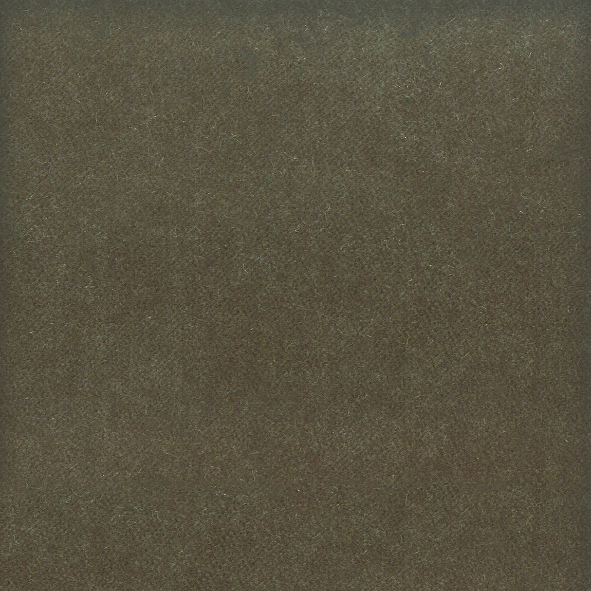 STOUT MOOR-8 MOORE 8 SHADOW Fabric - Eades Wallpaper & Fabric