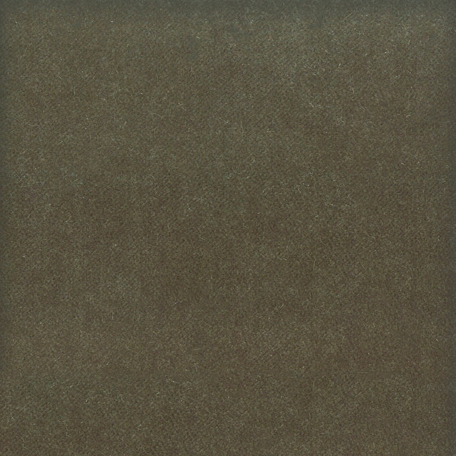 STOUT MOOR-8 MOORE 8 SHADOW Fabric - Eades Wallpaper & Fabric