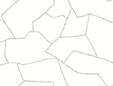York MT5621 Suite Style Dolphin Wallpaper - Eade's Wallpaper