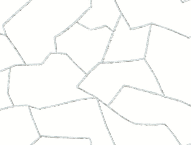 York MT5621 Suite Style Dolphin Wallpaper - Eade's Wallpaper