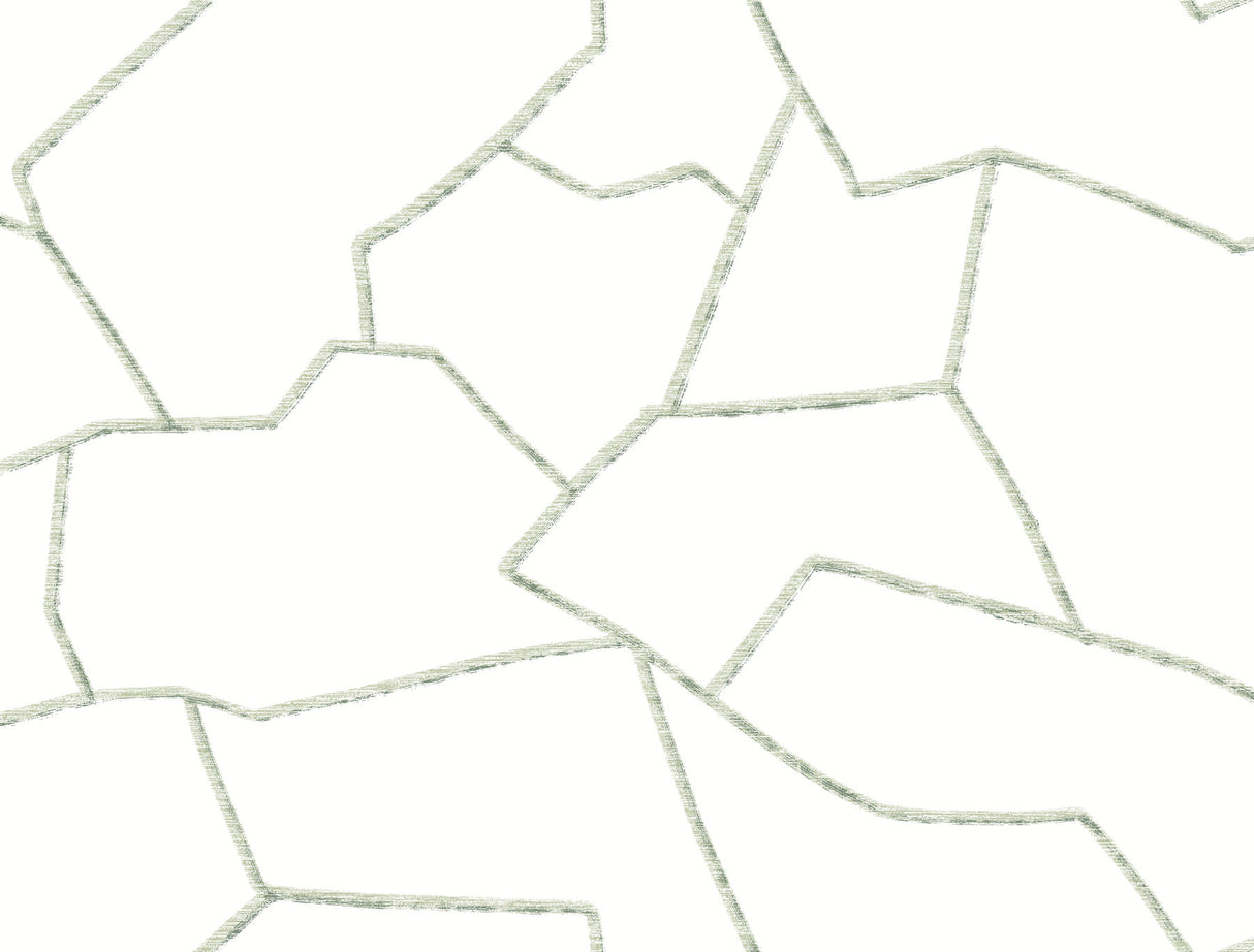 York MT5624 Suite Style Palm Wallpaper - Eade's Wallpaper