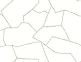 York MT5624 Suite Style Palm Wallpaper - Eade's Wallpaper