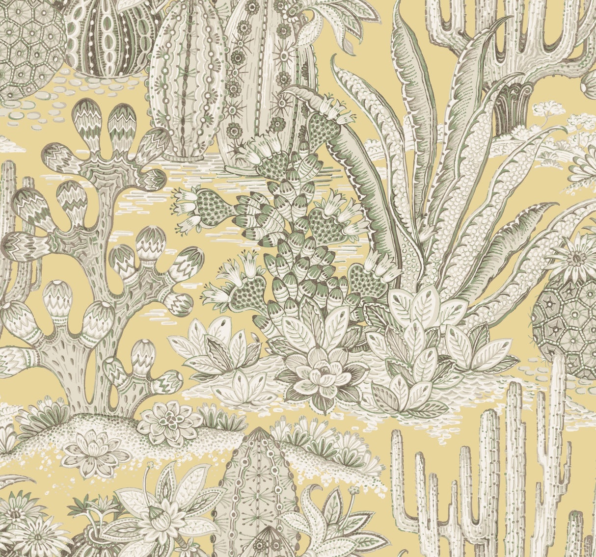 York MT5635 Lotus Land Cacti Sunshine Wallpaper - Eade's Wallpaper