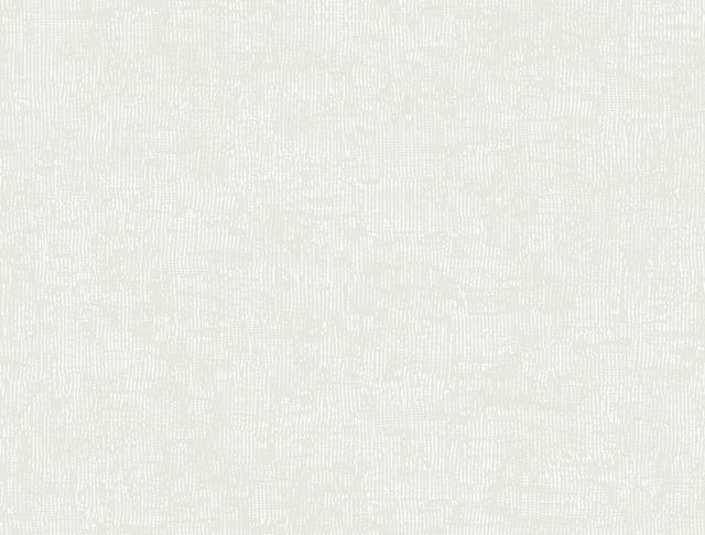 York MT5666 Trabadillo Plaster Salt Wallpaper - Eade's Wallpaper