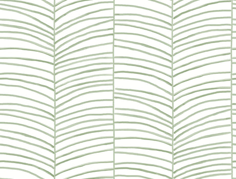 York MT5674 Cascade Palm Chevron Palm Wallpaper - Eade's Wallpaper