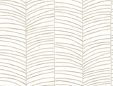 York MT5675 Cascade Palm Chevron Dune Wallpaper - Eade's Wallpaper