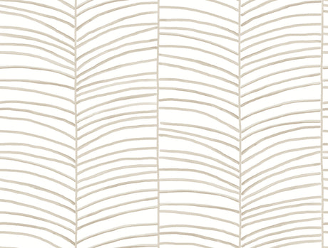 York MT5675 Cascade Palm Chevron Dune Wallpaper - Eade's Wallpaper