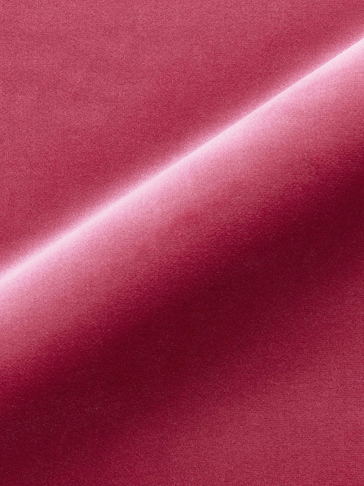 Scalamandre MT 00121247 PETAL TORINO VELVET Fabric