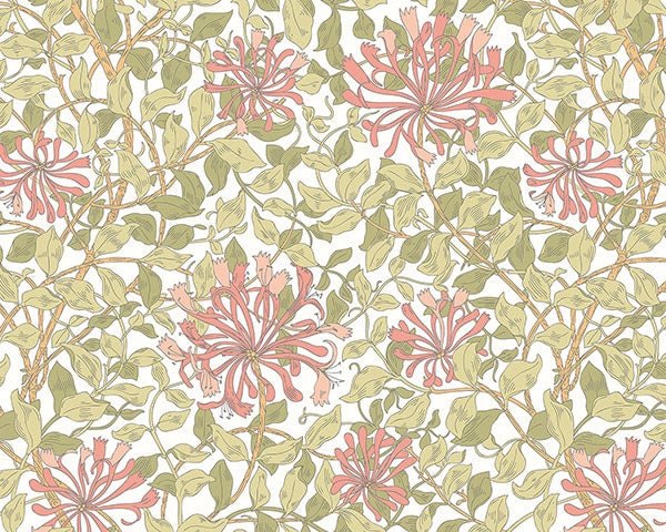 Eade’s Honeysuckle Pink
