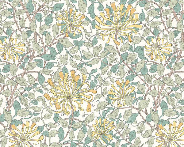 Eade’s Honeysuckle Yellow