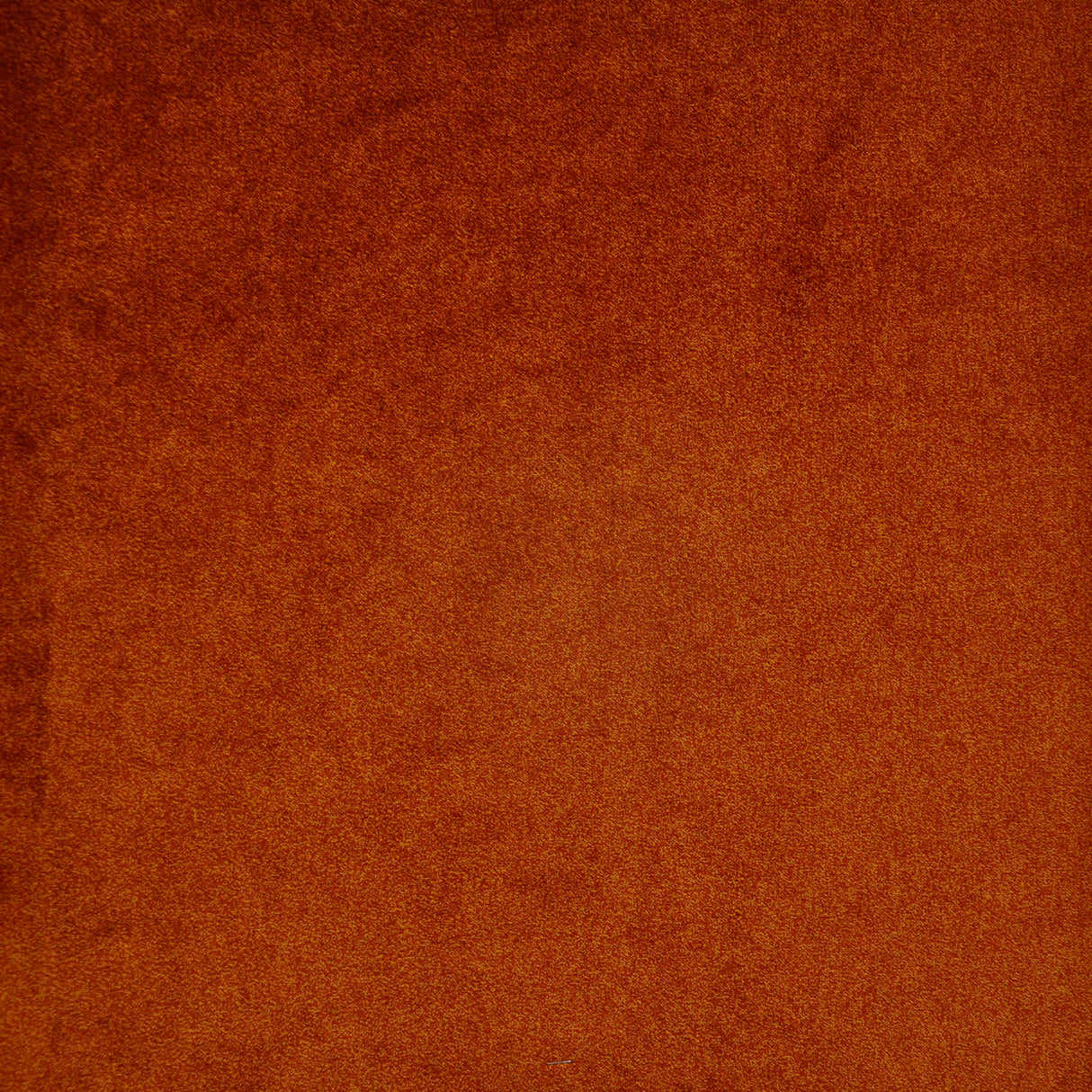 Eade’s # 723 TIGER LILY