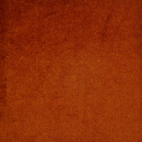 Eade’s # 723 TIGER LILY