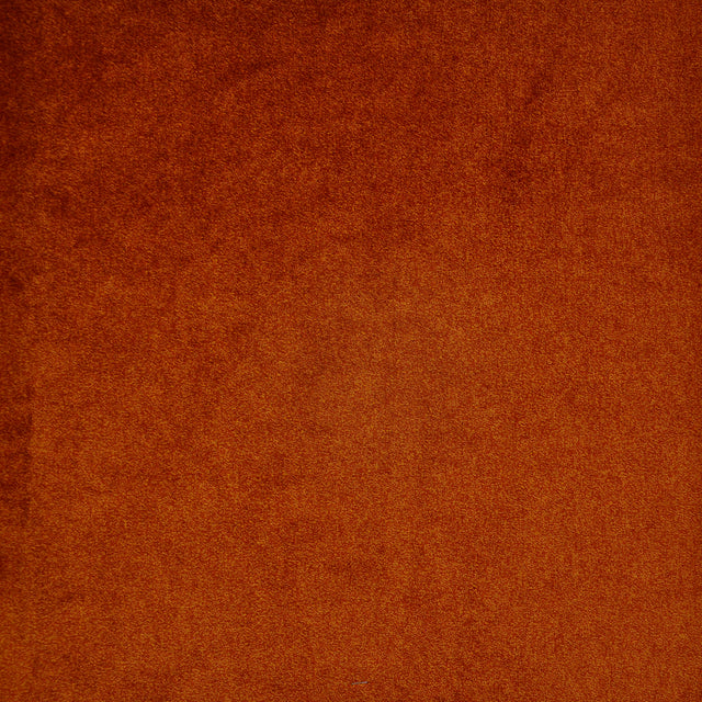 Eade’s # 723 TIGER LILY