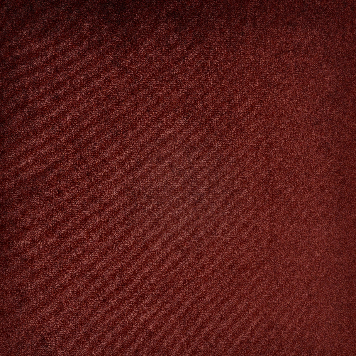 Eade’s # 731 BARBERA