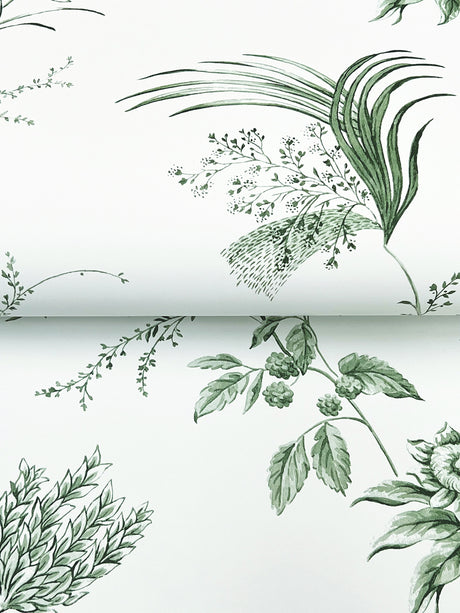 Ronald Redding MX9680 Floral Lace Green Wallpaper - Eade's Wallpaper
