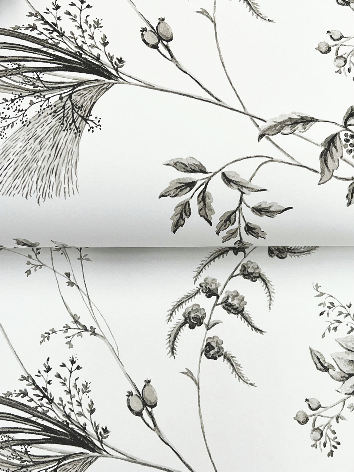 Ronald Redding MX9682 Floral Lace Black Wallpaper - Eade's Wallpaper